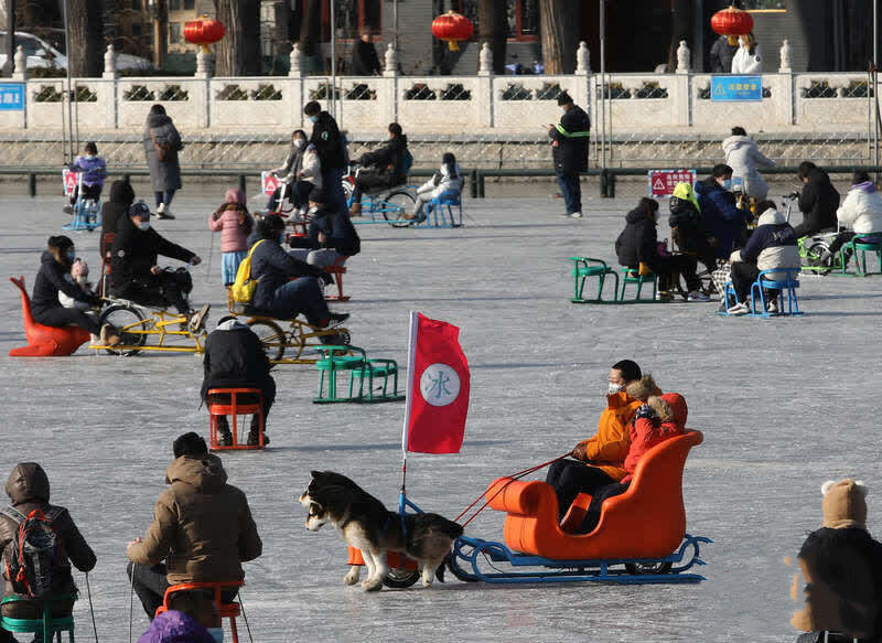 仿真狗拉雪橇  玩法简单有趣