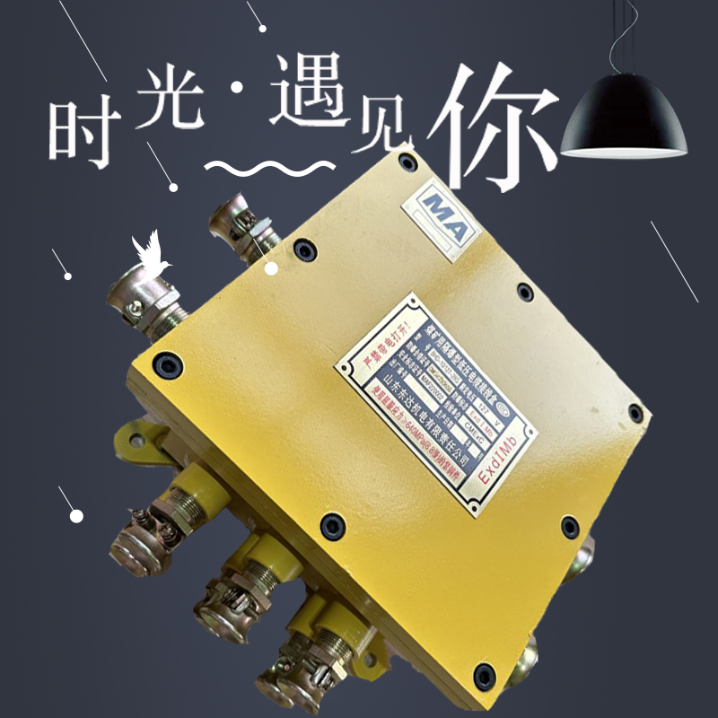 矿用隔爆型低压电缆接线盒 BHD-10/127-16G