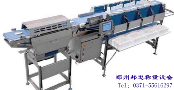 FX350-6 禽类分选机-邦懋