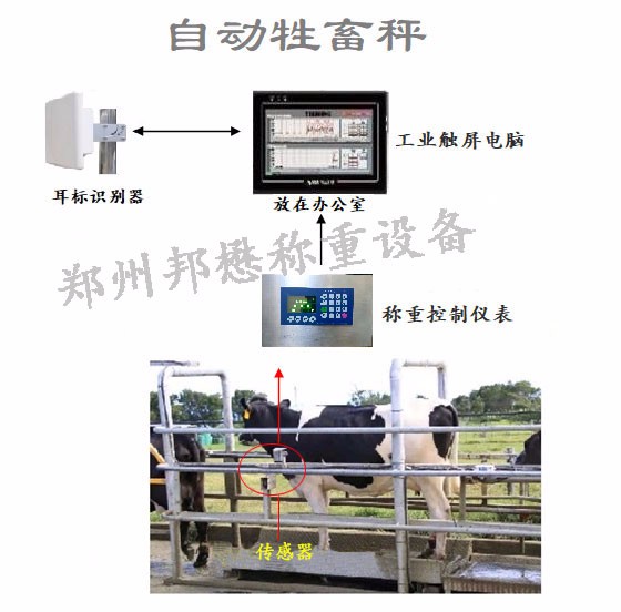 郑州邦懋称重设备有限公司