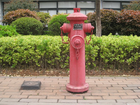 室外地上栓 消火栓 消防栓 沧州铁狮