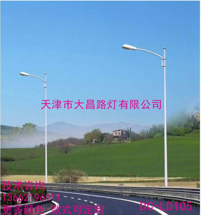 天津道路照明灯 户外高杆灯高杆节能道路灯DC-LD105