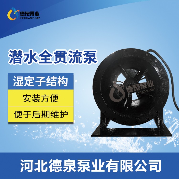 德泉泵业耦合式安装全贯流泵|QGWZ贯流泵哪里做|湿定子贯流泵