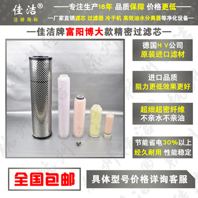 FYS型高效油水分离器 FYS-20 FYS-30 FYS-40高效油水分离器滤