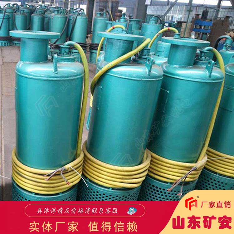 BQS(W)110KW矿用潜水排沙电泵 防爆污水泵品牌矿安