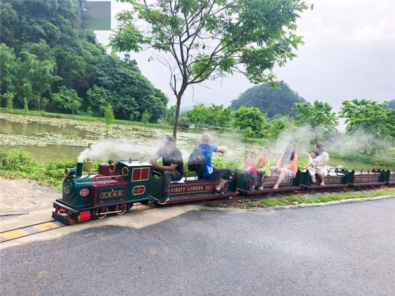 观光游乐小火车 景区游玩电动小火车 四季游乐设备商场无轨小火车