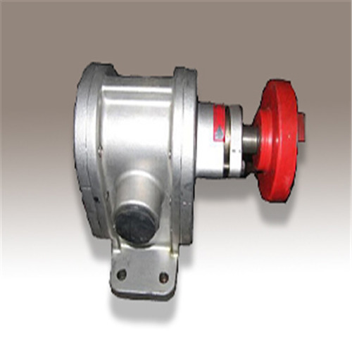泰盛不锈钢齿轮泵增压输送泵小流量输送泵