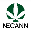 2025年美国波士顿新英格兰大麻展